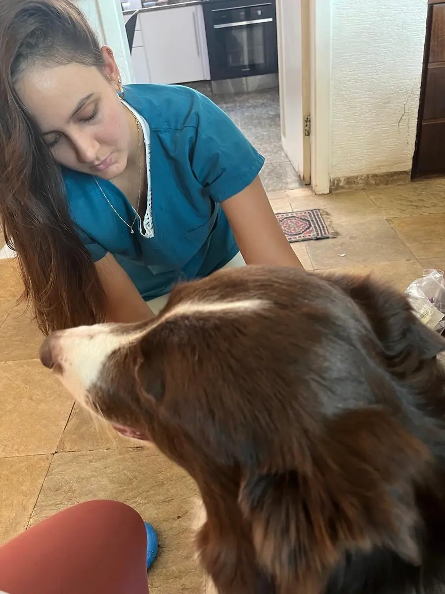 Médica-veterinária da Doutora Vet em atendimento domiciliar