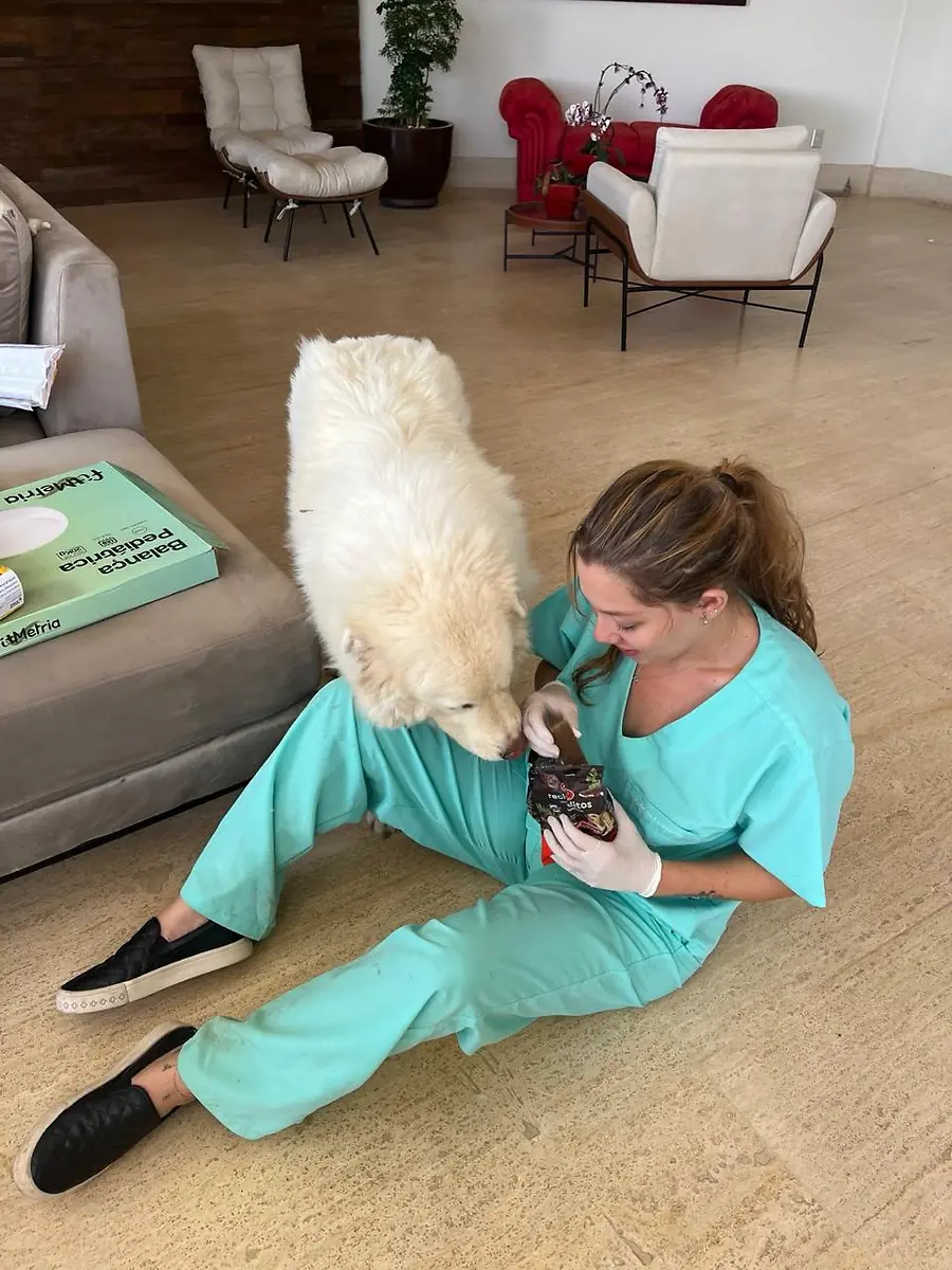 Médica-veterinária da Doutora Vet atendendo um cão em casa